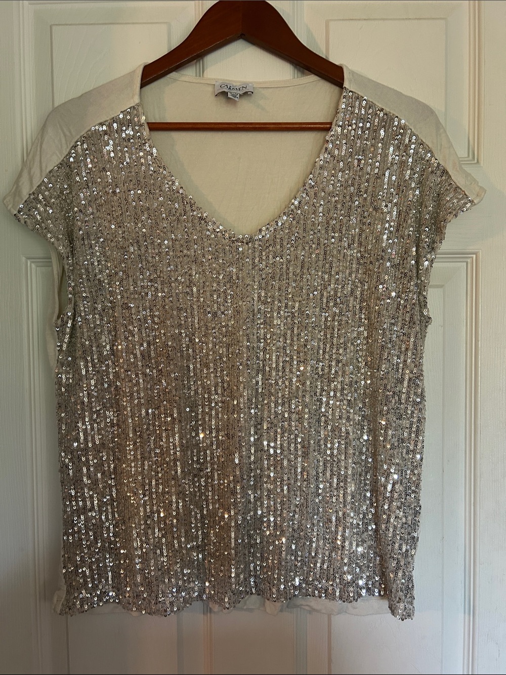 Sequin V-Neck Short Sleeve Top - Silver